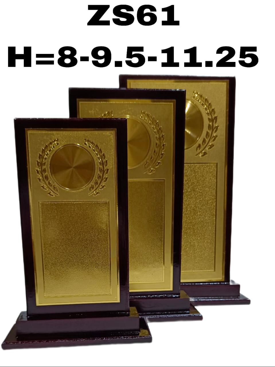 Heavy Iron Weight Inserts
